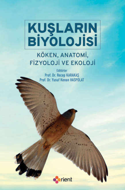 book img