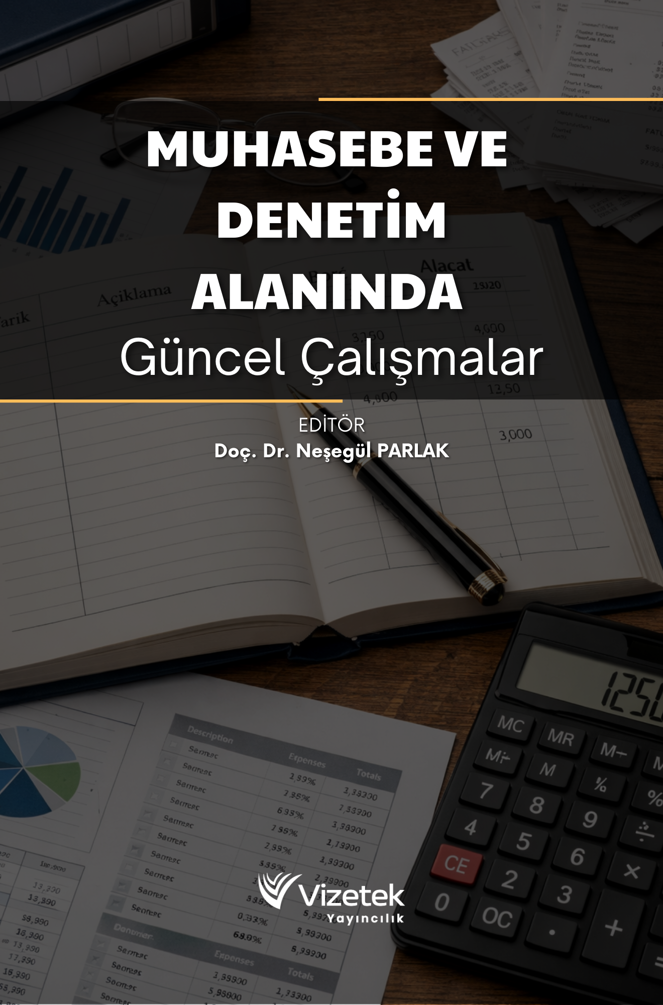 libraryturk.com muhasebe ve denetim alanında güncel çalışmalar