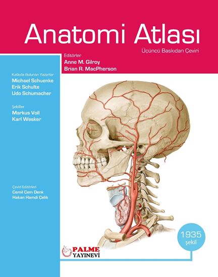libraryturk.com anatomi atlası