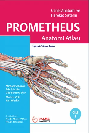 libraryturk.com prometheus anatomi atlası - cilt 1