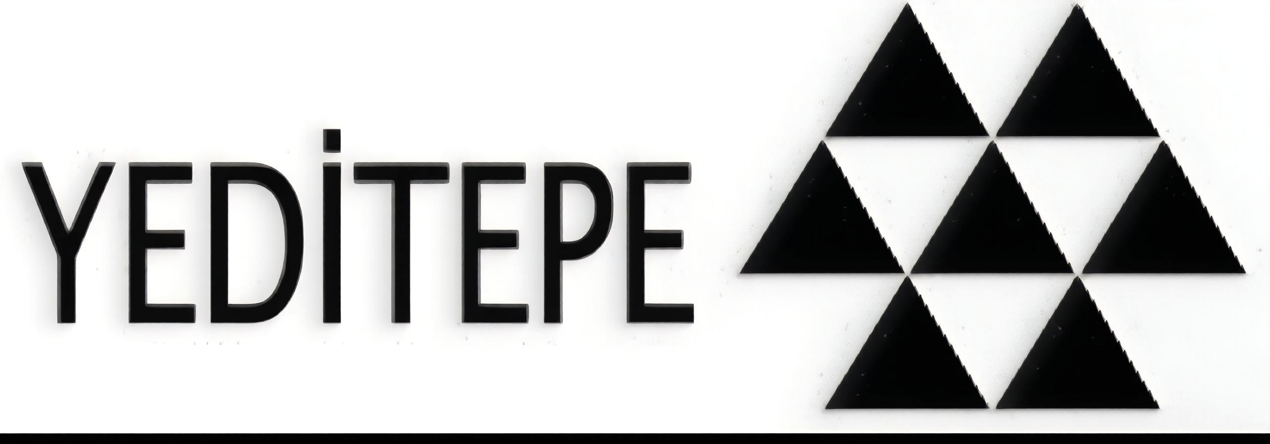 Yeditepe Yayınevi (2 kitap)